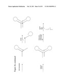 STRUCTURAL NUCLEIC ACID GUIDED CHEMICAL SYNTHESIS diagram and image