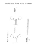 STRUCTURAL NUCLEIC ACID GUIDED CHEMICAL SYNTHESIS diagram and image