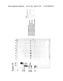 STRUCTURAL NUCLEIC ACID GUIDED CHEMICAL SYNTHESIS diagram and image