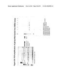 STRUCTURAL NUCLEIC ACID GUIDED CHEMICAL SYNTHESIS diagram and image