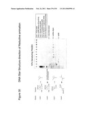 STRUCTURAL NUCLEIC ACID GUIDED CHEMICAL SYNTHESIS diagram and image