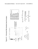 STRUCTURAL NUCLEIC ACID GUIDED CHEMICAL SYNTHESIS diagram and image