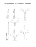 STRUCTURAL NUCLEIC ACID GUIDED CHEMICAL SYNTHESIS diagram and image