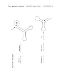 STRUCTURAL NUCLEIC ACID GUIDED CHEMICAL SYNTHESIS diagram and image