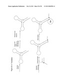 STRUCTURAL NUCLEIC ACID GUIDED CHEMICAL SYNTHESIS diagram and image