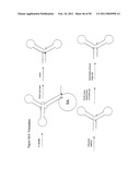 STRUCTURAL NUCLEIC ACID GUIDED CHEMICAL SYNTHESIS diagram and image