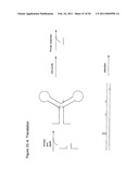 STRUCTURAL NUCLEIC ACID GUIDED CHEMICAL SYNTHESIS diagram and image