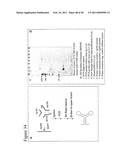 STRUCTURAL NUCLEIC ACID GUIDED CHEMICAL SYNTHESIS diagram and image