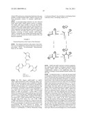 STRUCTURAL NUCLEIC ACID GUIDED CHEMICAL SYNTHESIS diagram and image