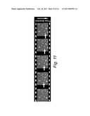 MICROFLUIDIC DEVICE FOR ASSESSING OBJECT/TEST MATERIAL INTERACTIONS diagram and image