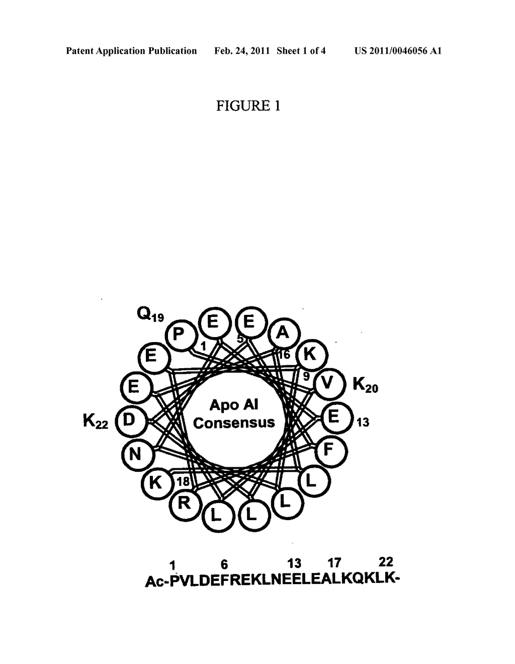 APOA-1 PEPTIDE MIMETICS - diagram, schematic, and image 02
