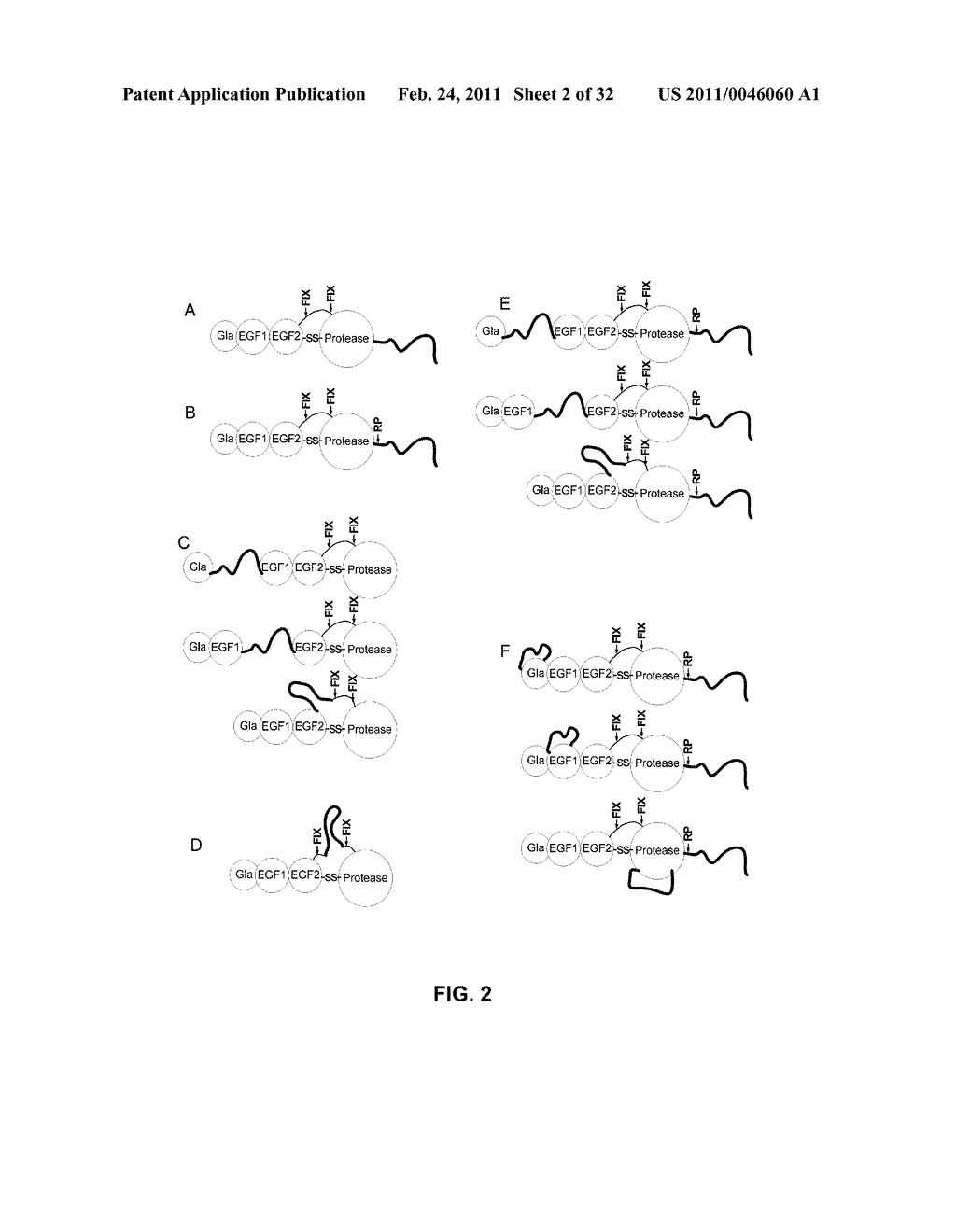 Coagulation factor IX compositions and methods of making and using same - diagram, schematic, and image 03