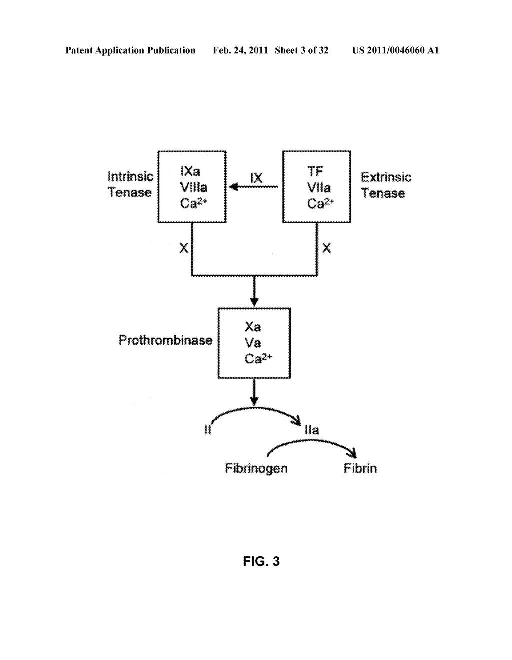 Coagulation factor IX compositions and methods of making and using same - diagram, schematic, and image 04