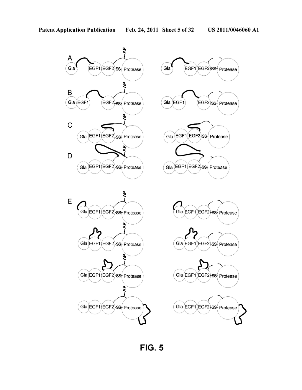 Coagulation factor IX compositions and methods of making and using same - diagram, schematic, and image 06