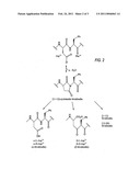 READY-TO-USE BIVALIRUDIN COMPOSITIONS diagram and image