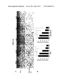 GENE EXPRESSION INHIBITOR SELECTIVE FOR MATRIX METALLOPROTEINASE-9 GENE diagram and image