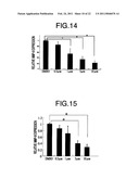 GENE EXPRESSION INHIBITOR SELECTIVE FOR MATRIX METALLOPROTEINASE-9 GENE diagram and image