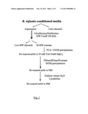 EXOPOLYSACCHARIDE diagram and image