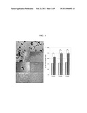 SMALL MOLECULES FOR NEURONAL DIFFERENTIATION OF EMBRYONIC STEM CELLS diagram and image