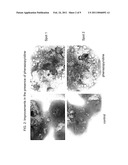 SMALL MOLECULES FOR NEURONAL DIFFERENTIATION OF EMBRYONIC STEM CELLS diagram and image