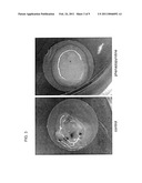 SMALL MOLECULES FOR NEURONAL DIFFERENTIATION OF EMBRYONIC STEM CELLS diagram and image