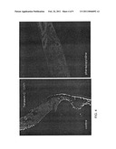 SMALL MOLECULES FOR NEURONAL DIFFERENTIATION OF EMBRYONIC STEM CELLS diagram and image