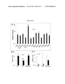 SMALL MOLECULES FOR NEURONAL DIFFERENTIATION OF EMBRYONIC STEM CELLS diagram and image