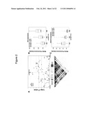 METHODS AND COMPOSITIONS FOR IDENTIFYING AND TREATING LUPUS diagram and image