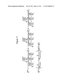 METHODS AND COMPOSITIONS FOR IDENTIFYING AND TREATING LUPUS diagram and image