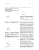 INHIBITORS OF FOCAL ADHESION KINASE diagram and image