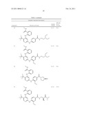 INHIBITORS OF FOCAL ADHESION KINASE diagram and image