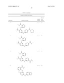 INHIBITORS OF FOCAL ADHESION KINASE diagram and image