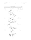 INHIBITORS OF FOCAL ADHESION KINASE diagram and image