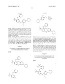 INHIBITORS OF FOCAL ADHESION KINASE diagram and image