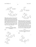 INHIBITORS OF FOCAL ADHESION KINASE diagram and image