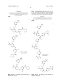 INHIBITORS OF FOCAL ADHESION KINASE diagram and image