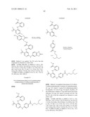 INHIBITORS OF FOCAL ADHESION KINASE diagram and image