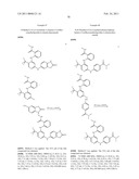 INHIBITORS OF FOCAL ADHESION KINASE diagram and image