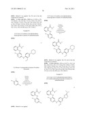 INHIBITORS OF FOCAL ADHESION KINASE diagram and image