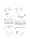 INHIBITORS OF FOCAL ADHESION KINASE diagram and image