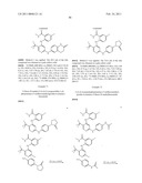 INHIBITORS OF FOCAL ADHESION KINASE diagram and image