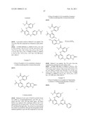 INHIBITORS OF FOCAL ADHESION KINASE diagram and image