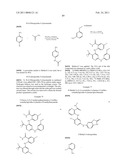 INHIBITORS OF FOCAL ADHESION KINASE diagram and image