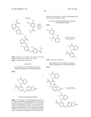 INHIBITORS OF FOCAL ADHESION KINASE diagram and image