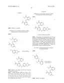 INHIBITORS OF FOCAL ADHESION KINASE diagram and image