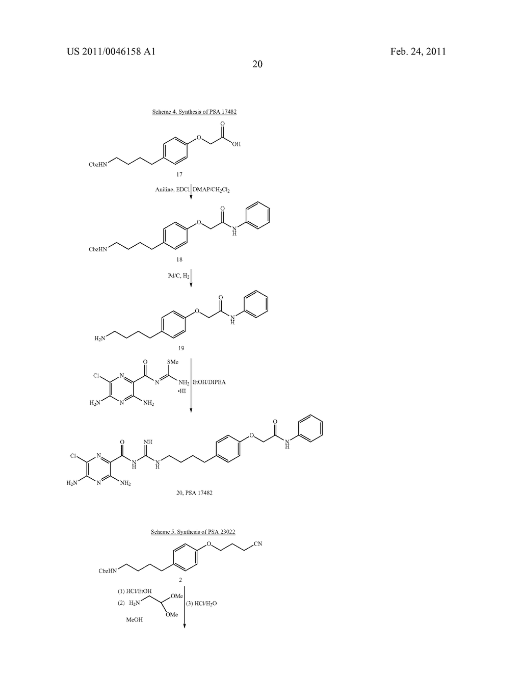 CAPPED PYRAZINOYLGUANIDINE SODIUM CHANNEL BLOCKERS - diagram, schematic, and image 21