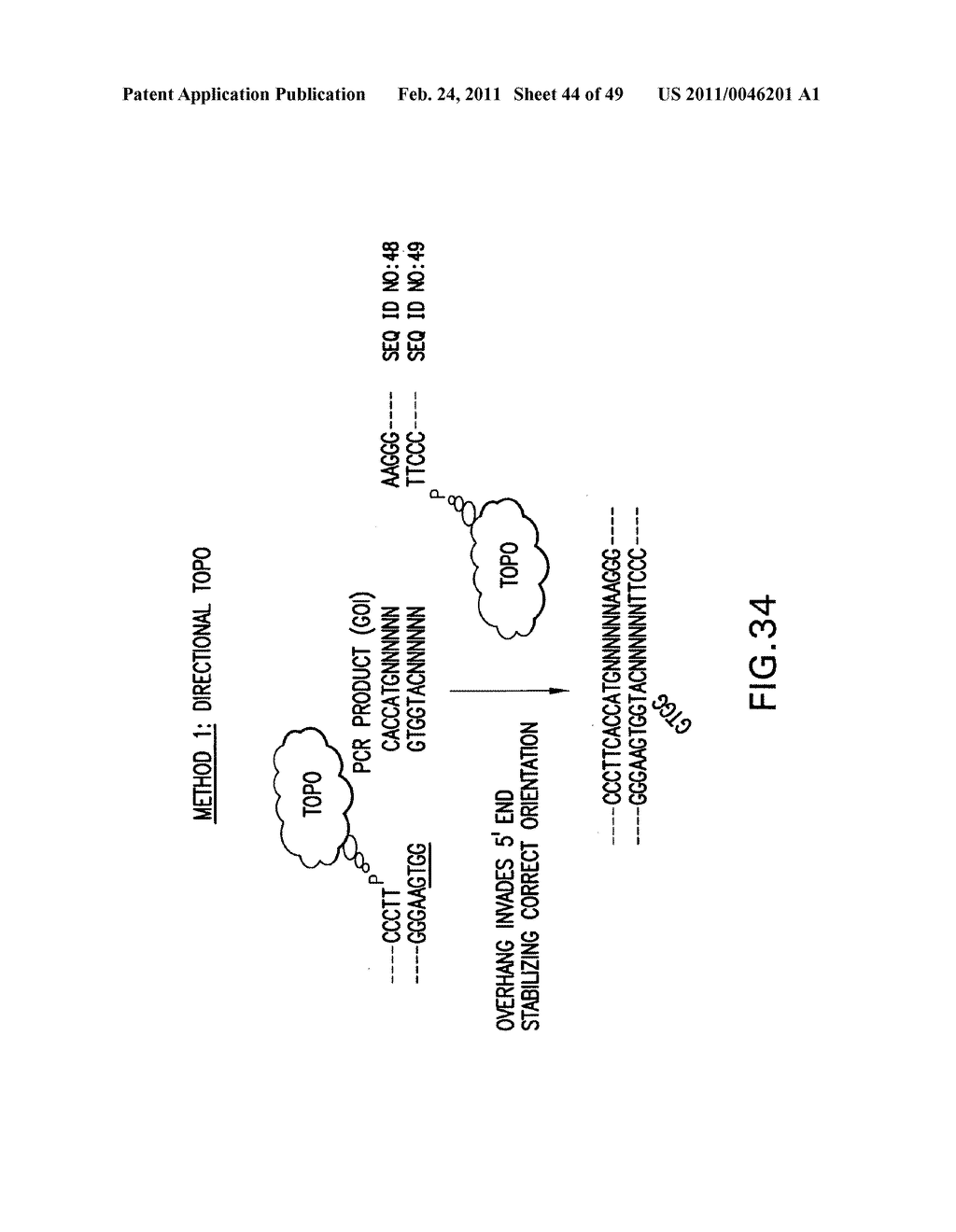 METHODS AND COMPOSITIONS FOR SEAMLESS CLONING OF NUCLEIC ACID MOLECULES - diagram, schematic, and image 45