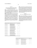 DOUBLE STRAND COMPOSITIONS COMPRISING DIFFERENTIALLY MODIFIED STRANDS FOR USE IN GENE MODULATION diagram and image