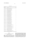 DOUBLE STRAND COMPOSITIONS COMPRISING DIFFERENTIALLY MODIFIED STRANDS FOR USE IN GENE MODULATION diagram and image