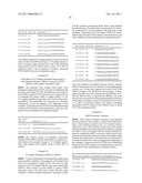 DOUBLE STRAND COMPOSITIONS COMPRISING DIFFERENTIALLY MODIFIED STRANDS FOR USE IN GENE MODULATION diagram and image